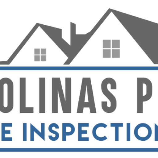 42+ A Pro Home Inspection Services Collection